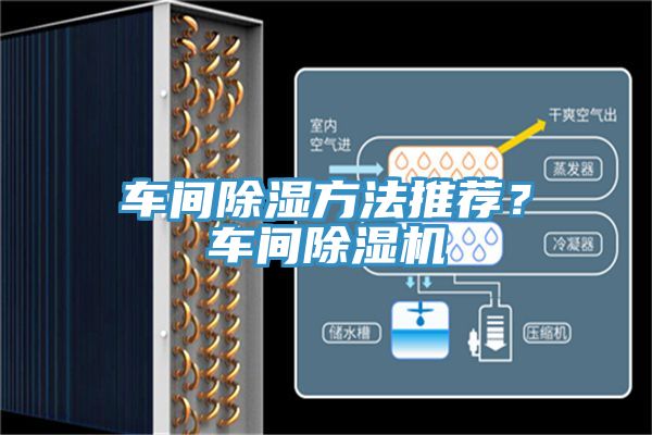 车间除湿方法推荐？车间粉色应用黄色软件