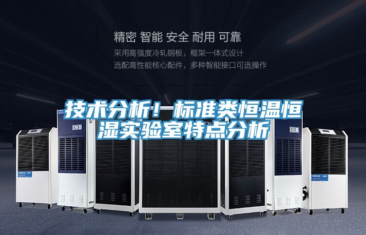 技术分析！标准类恒温恒湿实验室特点分析