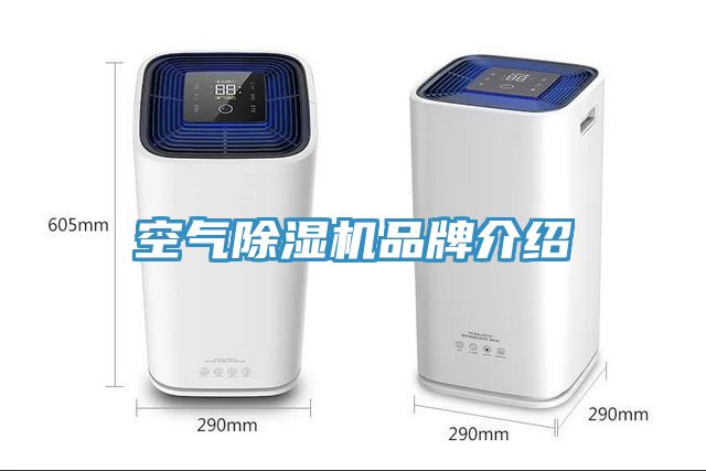 空气粉色应用黄色软件品牌介绍