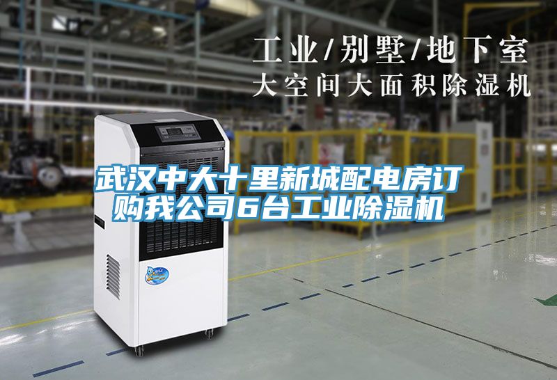 武汉中大十里新城配电房订购我公司6台工业粉色应用黄色软件