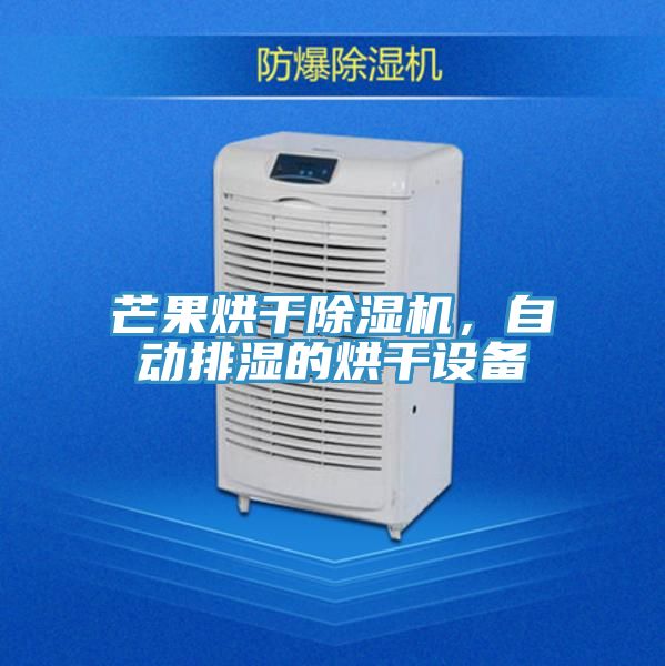 芒果烘干粉色应用黄色软件，自动排湿的烘干设备