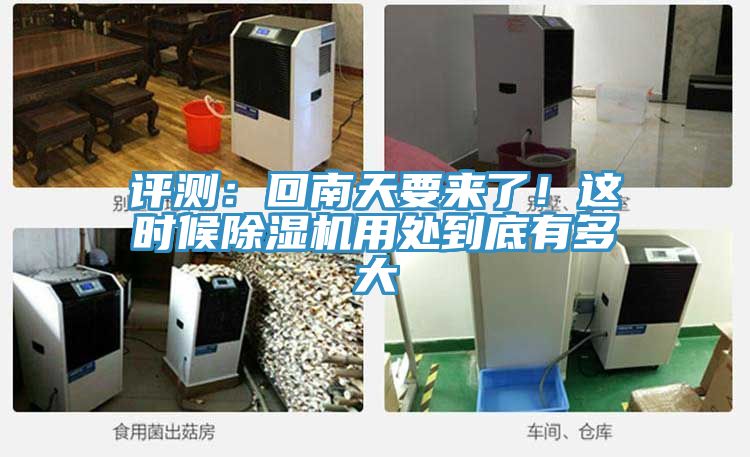 评测：回南天要来了！这时候粉色应用黄色软件用处到底有多大