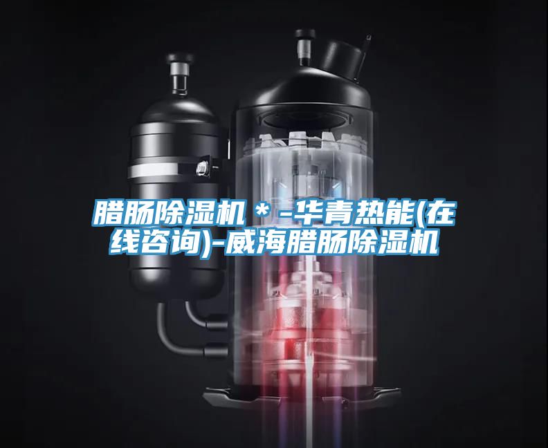 腊肠粉色应用黄色软件*-华青热能(在线咨询)-威海腊肠粉色应用黄色软件