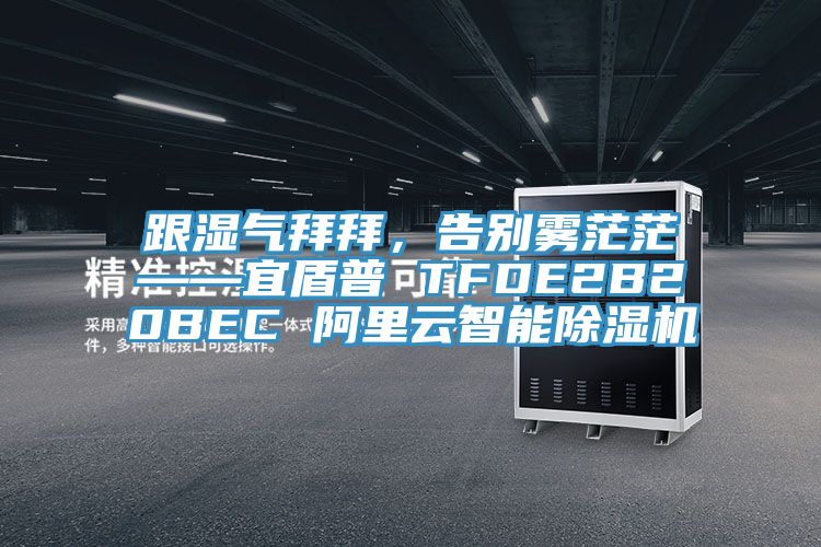 跟湿气拜拜，告别雾茫茫——宜盾普 TFDE2B20BEC 阿里云智能粉色应用黄色软件