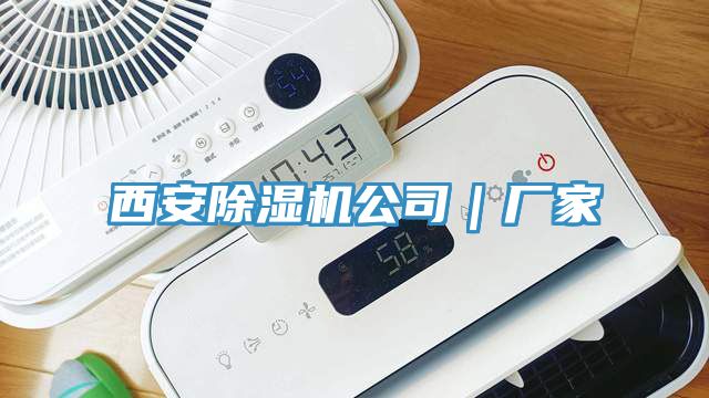 西安粉色应用黄色软件公司｜厂家