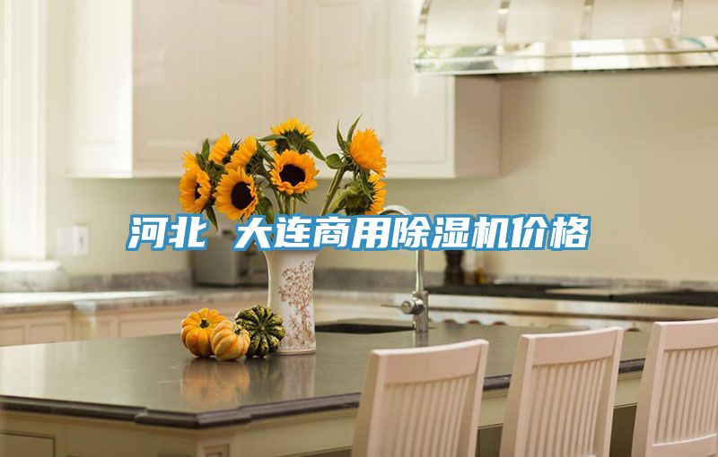 河北 大连商用粉色应用黄色软件价格