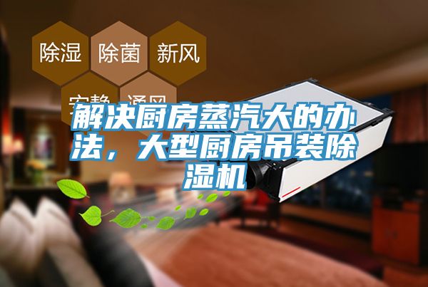 解决厨房蒸汽大的办法，大型厨房吊装粉色应用黄色软件