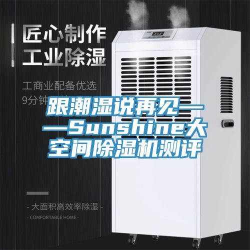 跟潮湿说再见——Sunshine大空间粉色应用黄色软件测评