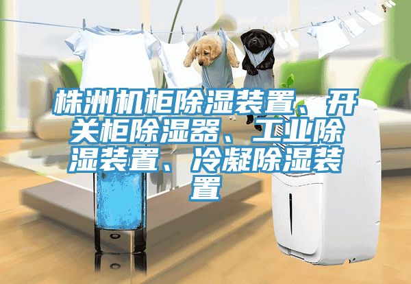 株洲机柜除湿装置、开关柜除湿器、工业除湿装置、冷凝除湿装置