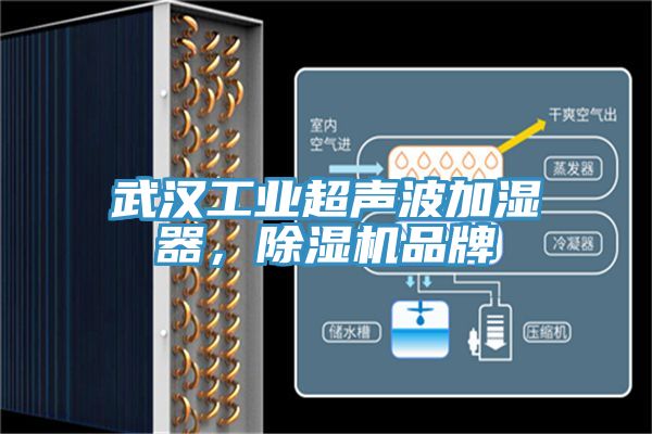 武汉工业超声波加湿器，粉色应用黄色软件品牌