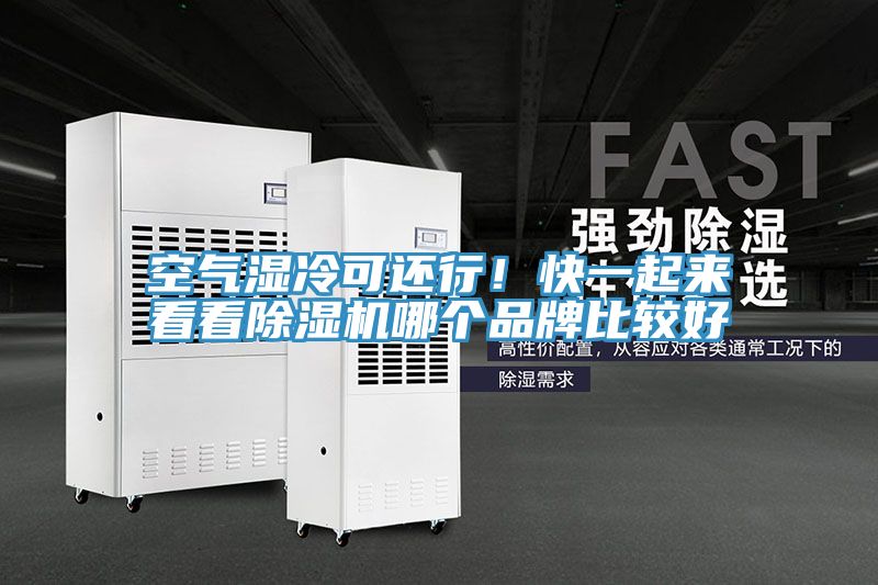 空气湿冷可还行！快一起来看看粉色应用黄色软件哪个品牌比较好