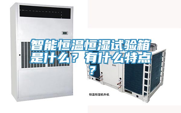 智能恒温恒湿试验箱是什么？有什么特点？