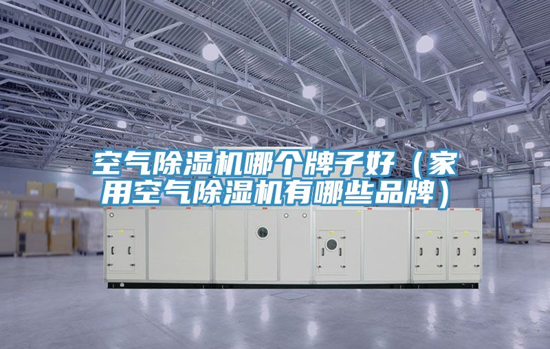 空气粉色应用黄色软件哪个牌子好(家用空气粉色应用黄色软件有哪些品牌)