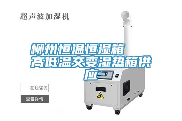 柳州恒温恒湿箱 高低温交变湿热箱供应