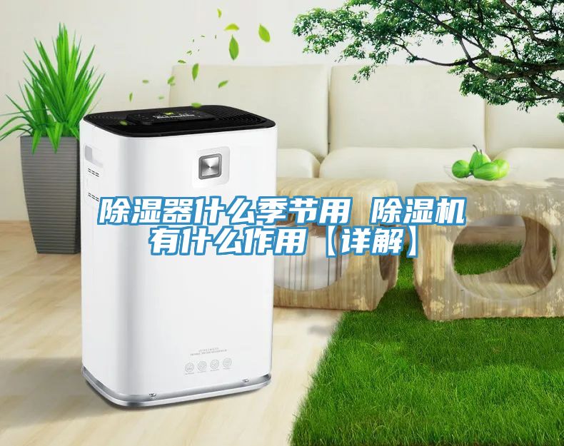 除湿器什么季节用 粉色应用黄色软件有什么作用【详解】