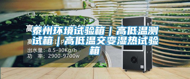 泰州环境试验箱|高低温测试箱|高低温交变湿热试验箱