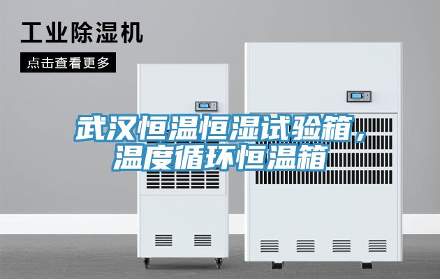 武汉恒温恒湿试验箱，温度循环恒温箱