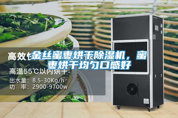 金丝蜜枣烘干粉色应用黄色软件，蜜枣烘干均匀口感好