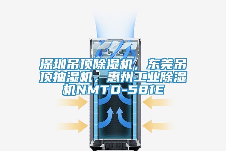 深圳吊顶粉色应用黄色软件，东莞吊顶抽湿机，惠州工业粉色应用黄色软件NMTD-581E