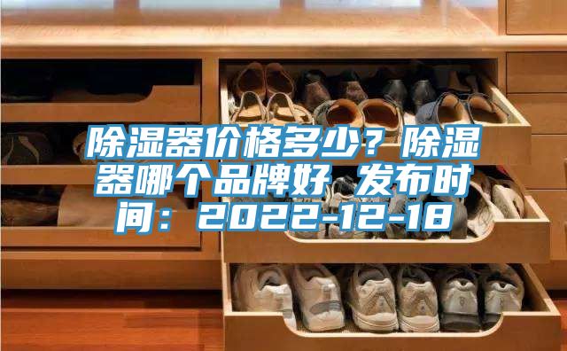 除湿器价格多少？除湿器哪个品牌好 发布时间：2022-12-18