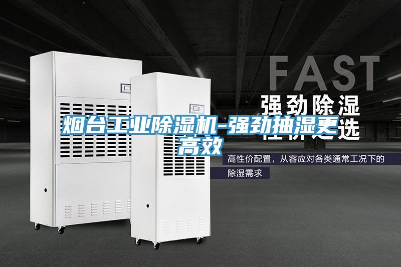 烟台工业粉色应用黄色软件-强劲抽湿更高效