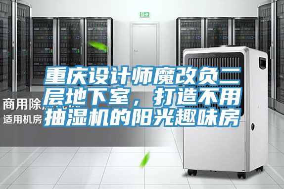 重庆设计师魔改负二层地下室，打造不用抽湿机的阳光趣味房