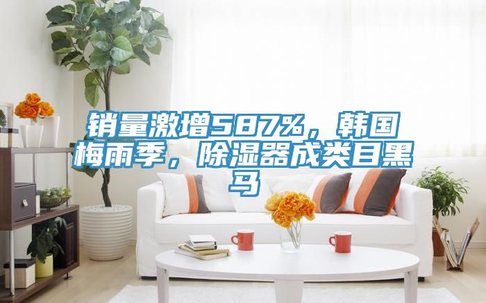 销量激增587%，韩国梅雨季，除湿器成类目黑马