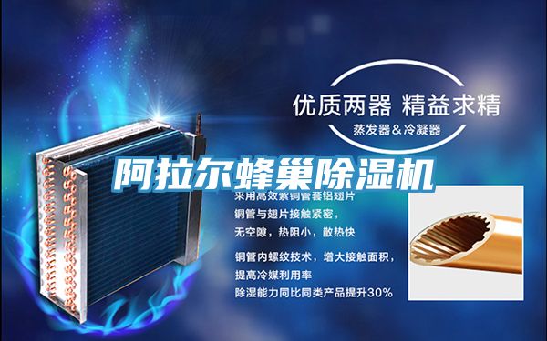 阿拉尔蜂巢粉色应用黄色软件