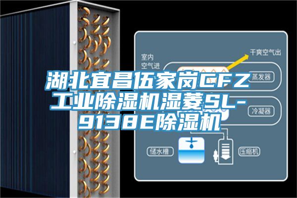 湖北宜昌伍家岗CFZ工业粉色应用黄色软件湿菱SL-9138E粉色应用黄色软件