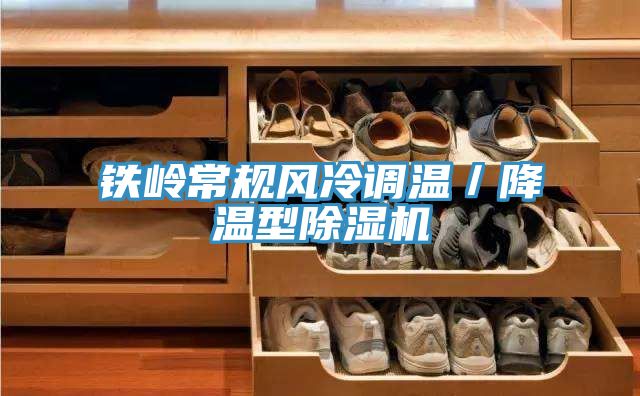 铁岭常规风冷调温/降温型粉色应用黄色软件