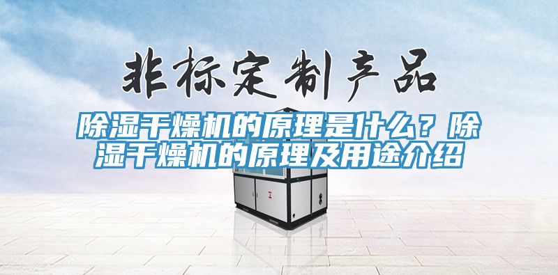 除湿干燥机的原理是什么？除湿干燥机的原理及用途介绍
