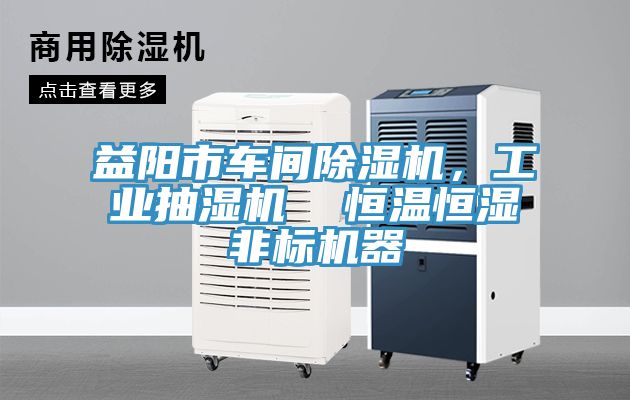 益阳市车间粉色应用黄色软件，工业抽湿机  恒温恒湿非标机器