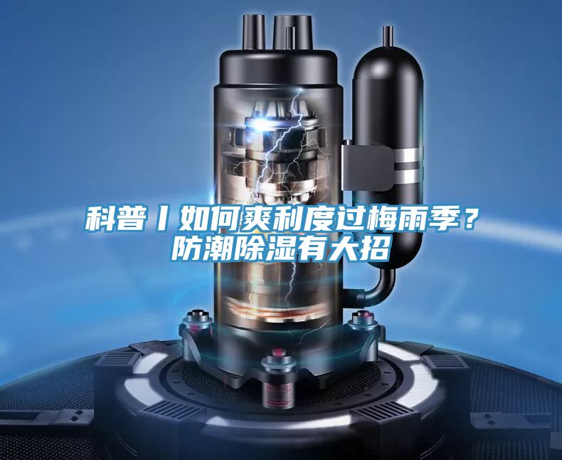 科普丨如何爽利度过梅雨季？防潮除湿有大招