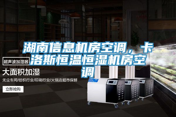 湖南信息机房空调，卡洛斯恒温恒湿机房空调