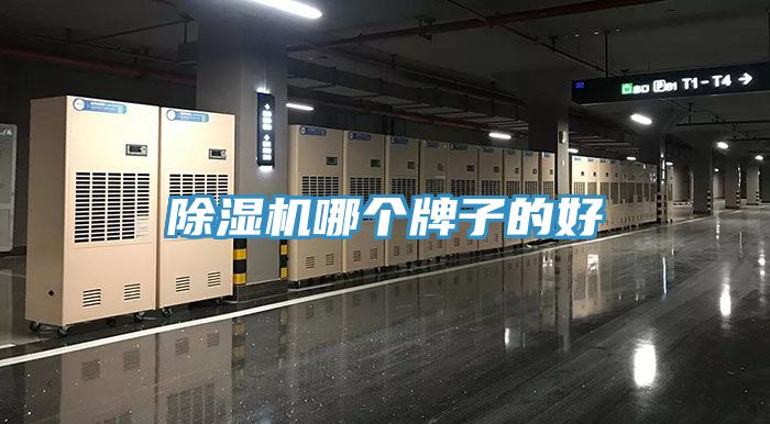 粉色应用黄色软件哪个牌子的好