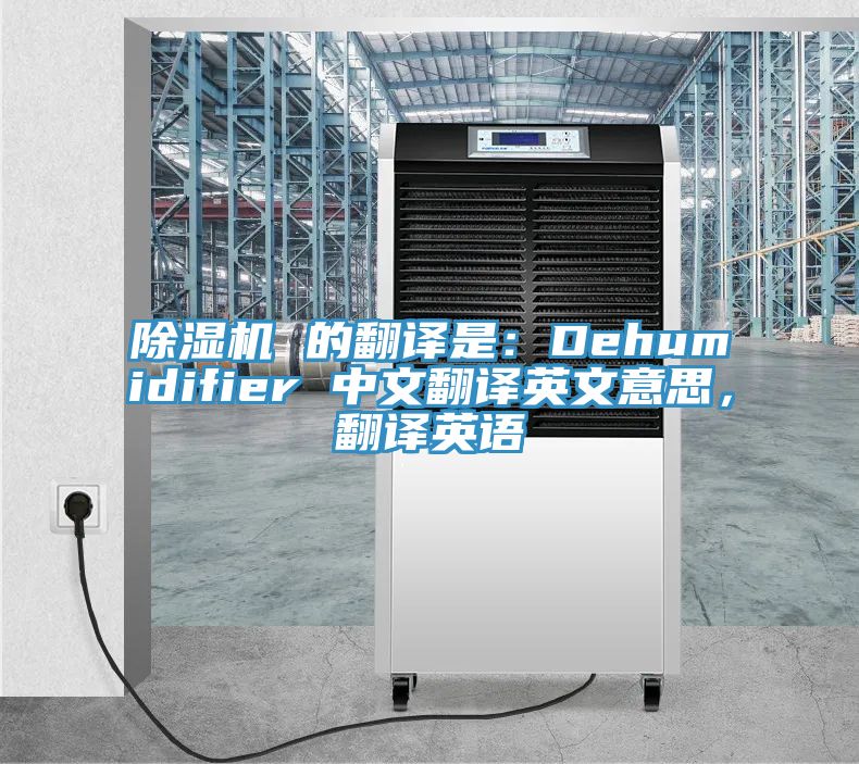 粉色应用黄色软件 的翻译是：Dehumidifier 中文翻译英文意思，翻译英语