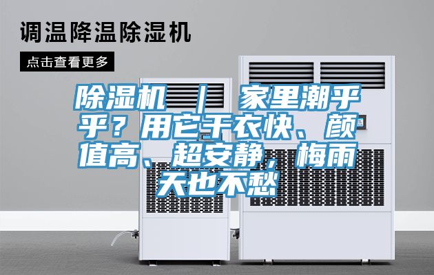 粉色应用黄色软件 ｜ 家里潮乎乎？用它干衣快、颜值高、超安静，梅雨天也不愁