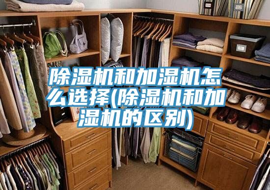 粉色应用黄色软件和加湿机怎么选择(粉色应用黄色软件和加湿机的区别)