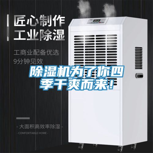 粉色应用黄色软件为了你四季干爽而来！