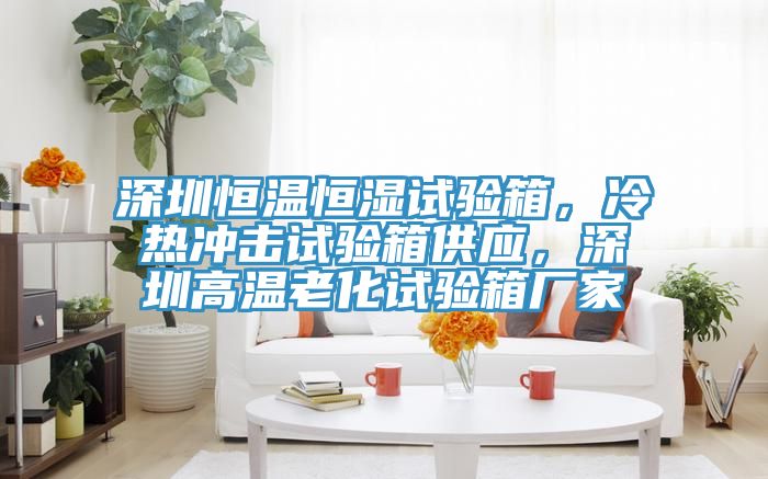 深圳恒温恒湿试验箱，冷热冲击试验箱供应，深圳高温老化试验箱厂家