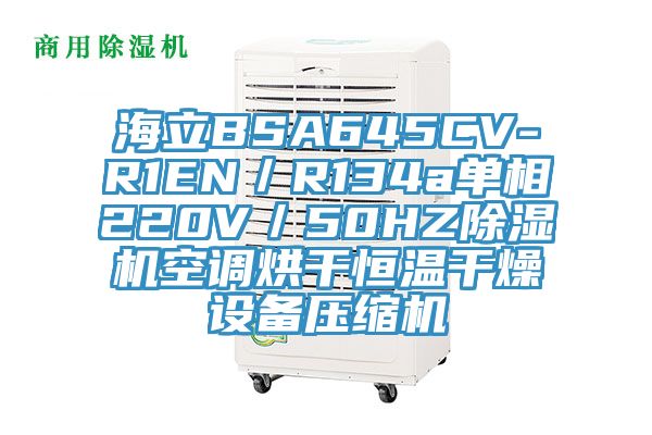 海立BSA645CV-R1EN/R134a单相220V/50HZ粉色应用黄色软件空调烘干恒温干燥设备压缩机