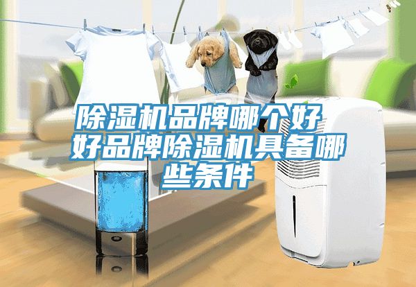 粉色应用黄色软件品牌哪个好 好品牌粉色应用黄色软件具备哪些条件