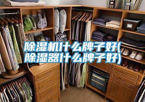 粉色应用黄色软件什么牌子好(除湿器什么牌子好)