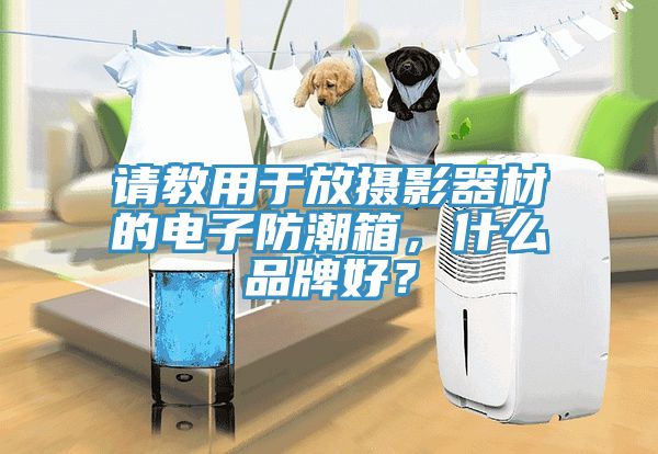 请教用于放摄影器材的电子防潮箱，什么品牌好？