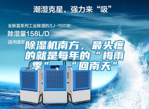 粉色应用黄色软件南方，最头疼的就是每年的“梅雨季”、“回南天”