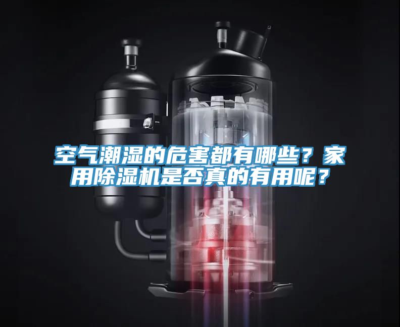 空气潮湿的危害都有哪些？家用粉色应用黄色软件是否真的有用呢？