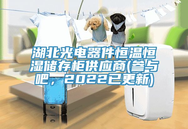 湖北光电器件恒温恒湿储存柜供应商(参与吧，2022已更新)