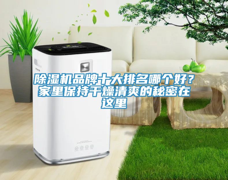 粉色应用黄色软件品牌十大排名哪个好？家里保持干燥清爽的秘密在这里
