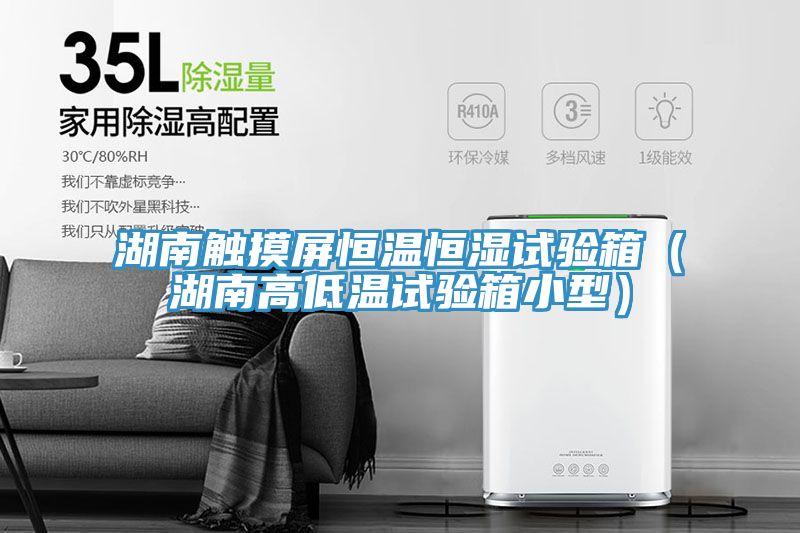 湖南触摸屏恒温恒湿试验箱(湖南高低温试验箱小型)