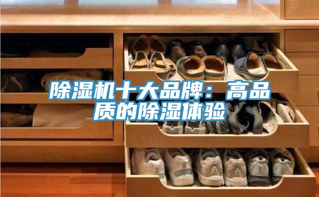 粉色应用黄色软件十大品牌：高品质的除湿体验